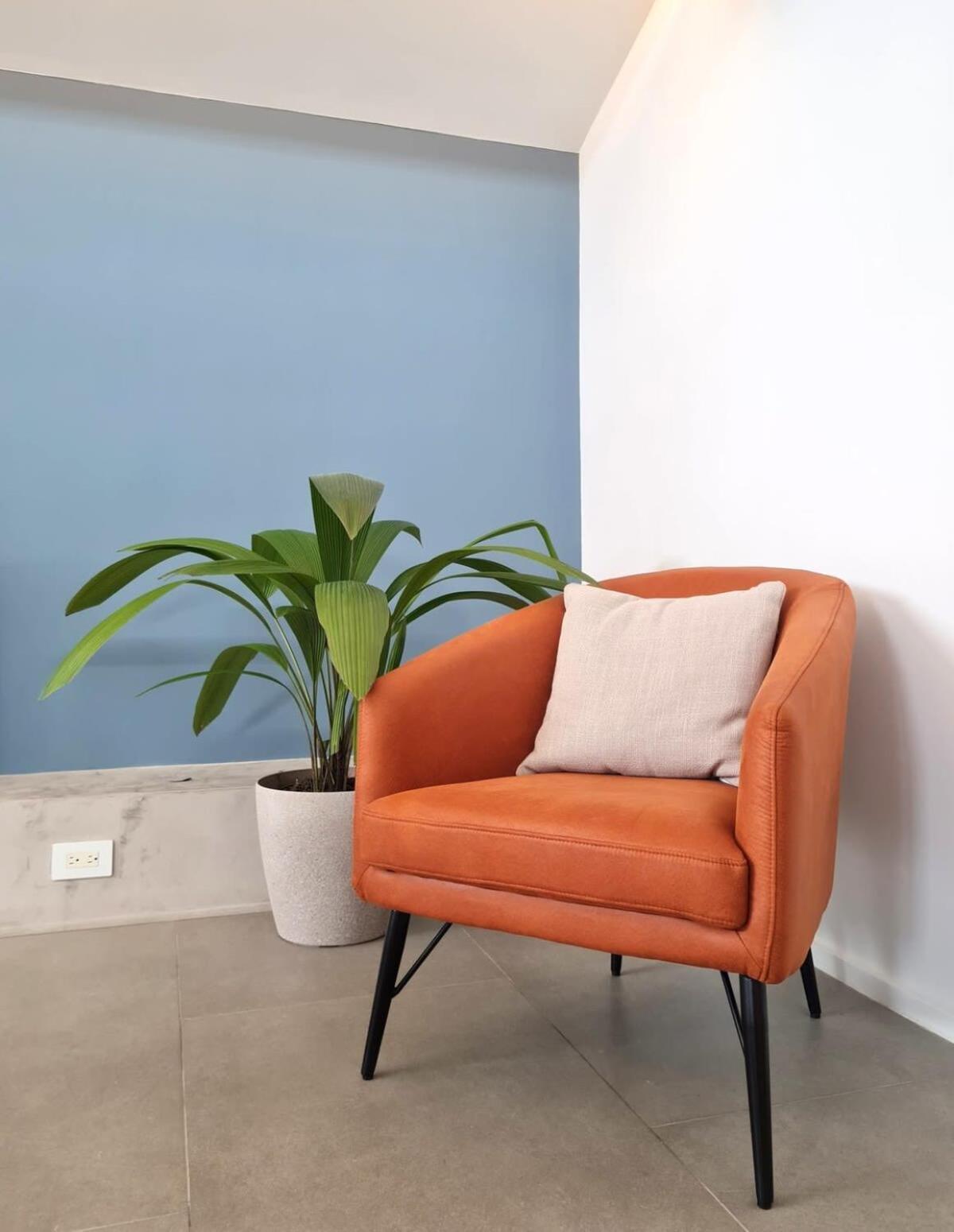 Apartamento Lovely 2br With Pool In Casco Antiguo